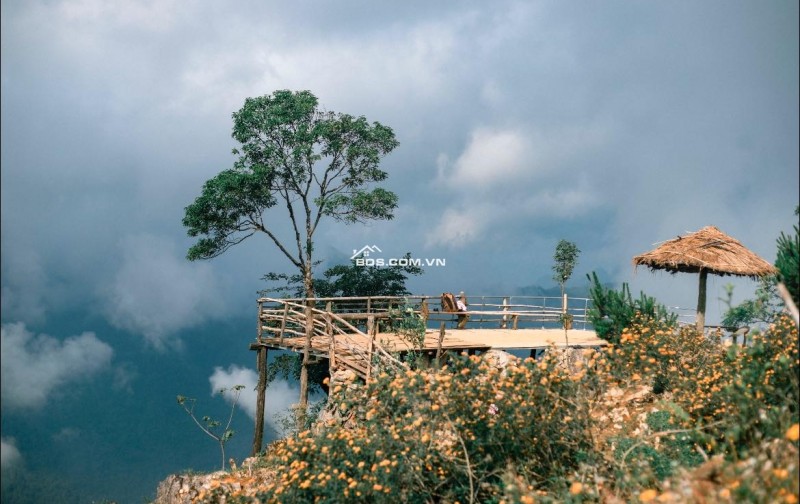 Bán 820m2 đất sổ đỏ chính chủ tại Pà Cò, Hang Kia Mai Châu Hoà Bình làm homestay